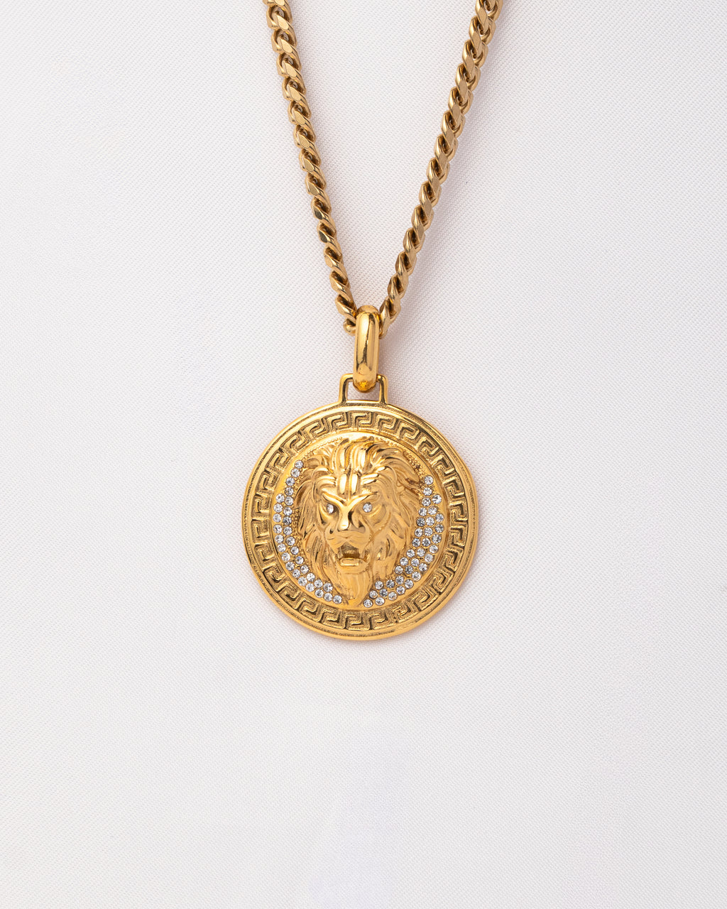 Medalla León